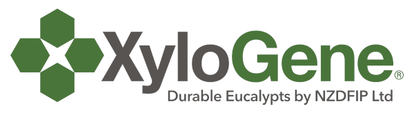 Xylogene Durable Eucalypts